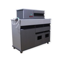 Smart ENT Unit with Ear Washing System - Model AI300 (pickup Only)